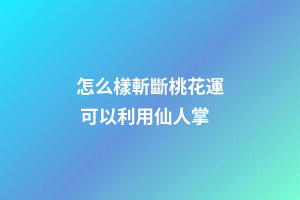 怎么樣斬斷桃花運 可以利用仙人掌